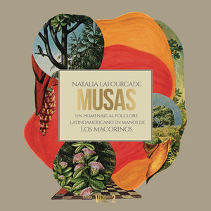 Musas (Un Homenaje al Folclore Latinoamericano en Manos de Los Macorinos) , Vol. 2