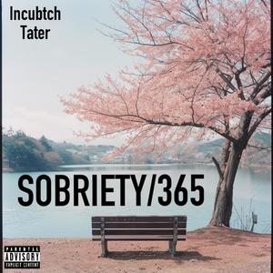 Sobriety/365 (feat. Tater) [Explicit]