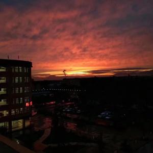 从未把温柔给我