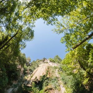 抚慰的休息中回忆