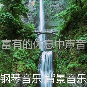 抚慰的养生回忆封面