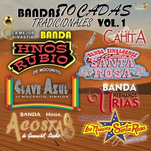 Bandas Tocadas Tradicionales Vol. 1