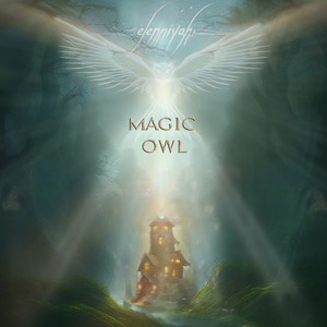 Magic Owl