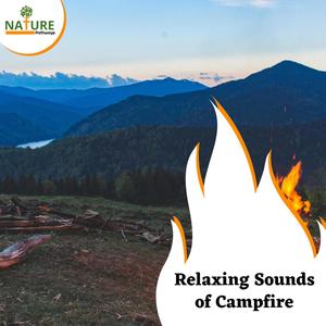 Relaxing Sounds of Campfire