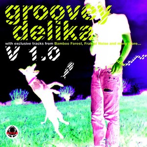 Grooveydelika Volume One