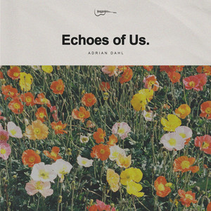 Echoes of Us