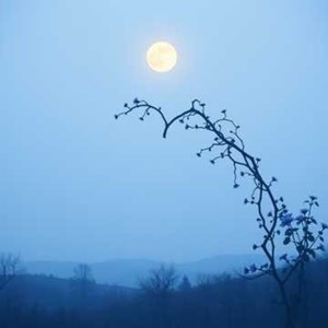 Kita Pernah Berjanji