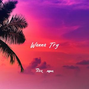 Wanna Try (feat. Otto Palmborg)