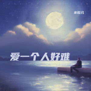 爱一个人好难