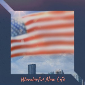 Wonderful New Life