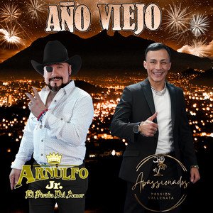 Año Viejo