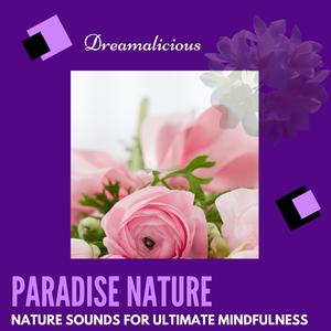 Paradise Nature - Nature Sounds For Ultimate Mindfulness