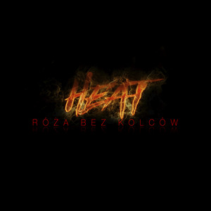 Róża Bez Kolców