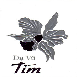 Dạ Vũ Tím