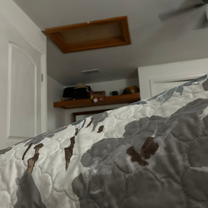 Ts cat anthem tuff (Explicit)