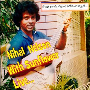 Nihal Nelson (Live) With Sunflower