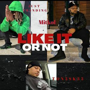 Like It Or Not (feat. Just Tr3nding & Ton3sk33) [Explicit]