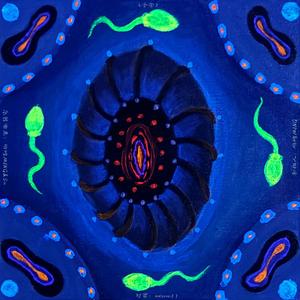 摩擦未知的领域Rubbing the terra incognita