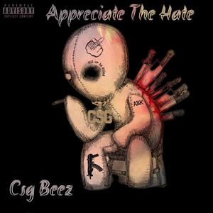 Appreciate The Hate (Explicit)