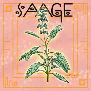 Saage