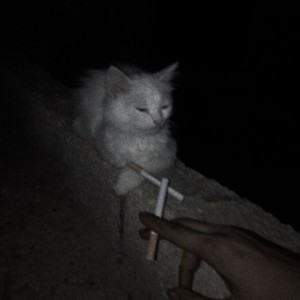 wirgehörenunsjetzt (Explicit)