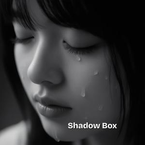 Fading Light-Nisaishadow official