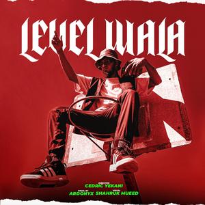 LEVEL WALA (Explicit)