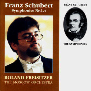Symphony No.4 in C minor, D.417 'Tragic' - II - Andante