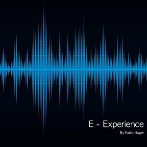 E: Experience