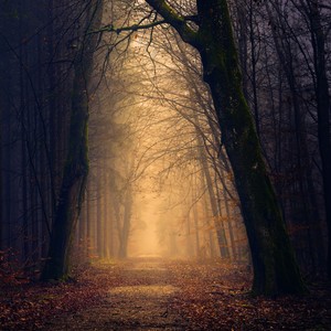 Ветер(feat. ChipaChip) (Explicit)