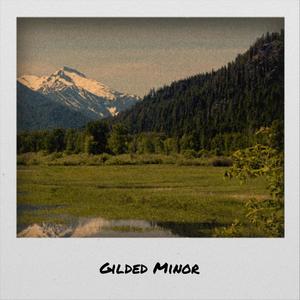 Gilded Minor