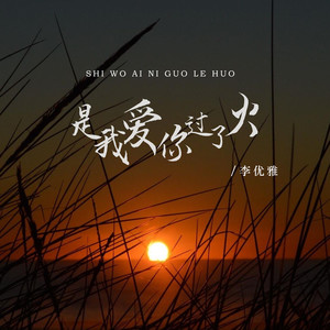 李优雅 - 是我爱你过了火
