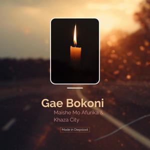 Gae Bokoni