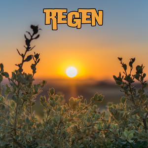 Serenity Grove Natural Tones