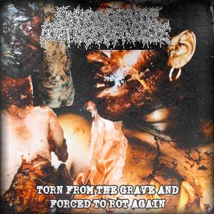 Torn From The Grave And Forced To Rot Again (Saprogenic Foetusogenesis)