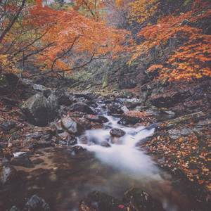 Gently Like A Stream