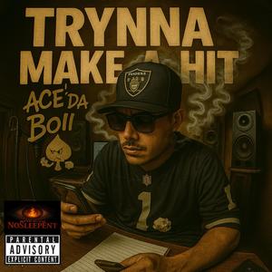 Trynna Make A Hit (Explicit)