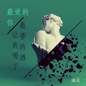最爱的你让我喝了最苦的酒