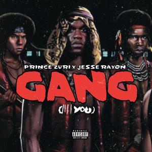 Gang (4 YOU) (feat. Prince Zuri) [Explicit]