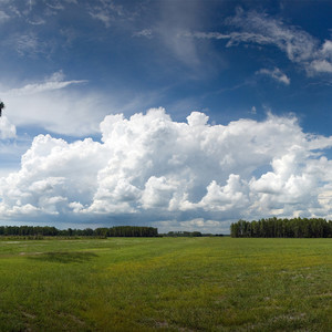 半生雪 (青春版)