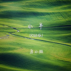 小半 (r&b版)
