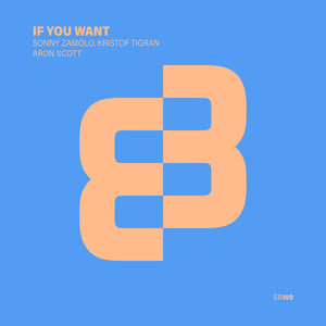 If You Want (Extended Mix)