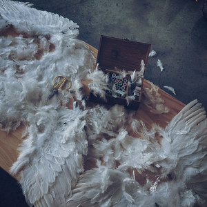 Diciembre a Diciembre