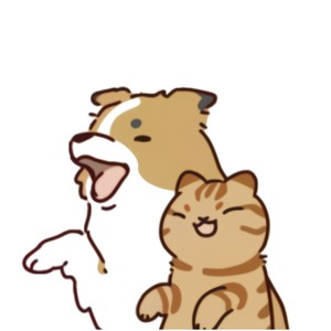 世界上最可爱的猫和她