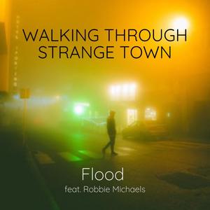 Walking Through Strange Town (feat. Robbie Michaels)