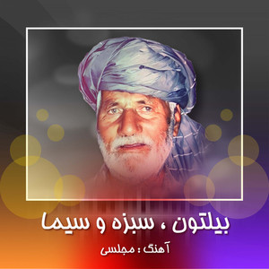 Majlesi