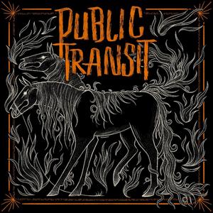 Public Transit (Explicit)