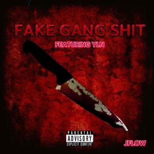 Fake Gang **** (feat. YLN) [Explicit]