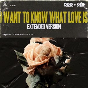 I Want to Know What Love Is (Extended Version)