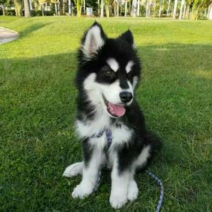 安溪来了 (伴奏)